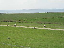 Het dijkje langs de baai
