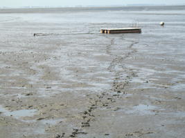 De baai met eb