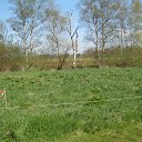 Foto van ons, nu nog kale, stuk grond