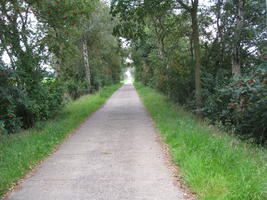 Weggetje van het park naar de baai